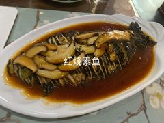 -素心斋素食餐厅