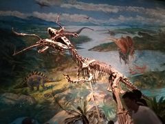 -自贡恐龙博物馆