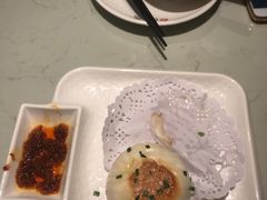-南枝记