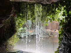 -郑州植物园