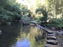 -山沟沟景区
