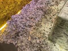 -Xcape异时刻密室逃脱魔法互动(瑞虹天地太阳宫店)