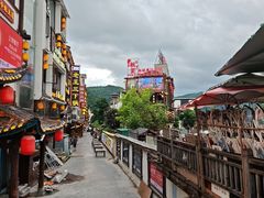 -印象鲵宴·张家界地标美食名片(溪布街店)