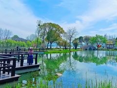 -渤公岛生态公园