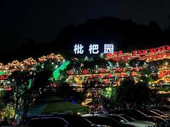 -枇杷园食为鲜火锅(南山店)