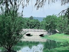 -长广溪湿地公园