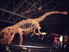 -世界恐龙谷景区