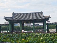 -莲花池公园