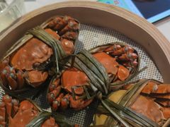 -杨氏青龙虾·羊蝎子(托乐嘉店)