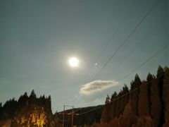 -武陵山森林公园