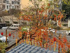 -田园印象·成都土菜院子(华阳店)