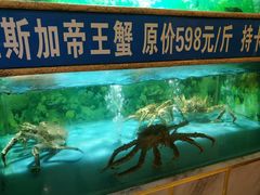 -金龙渔港(双楠店)