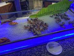 -乌鲁木齐环球国际大酒店
