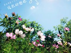 -成吉思汗公园