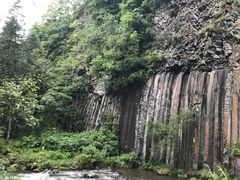-望天鹅景区