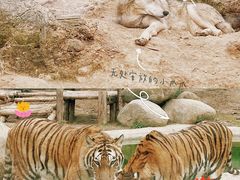 -泉州海丝野生动物世界