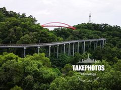 -金鸡山公园