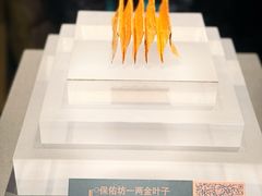 -温州博物馆