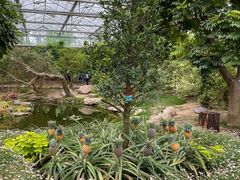 -南通洲际绿博园