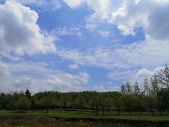 -洨河生态公园