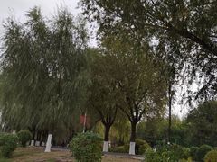 -丁香湖公园