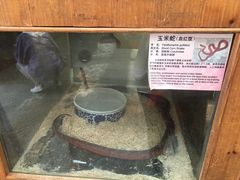 -上海大自然野生昆虫馆(东方明珠·爬宠昆虫探索中心)