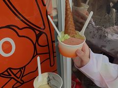 -DIP in GELATO(富民路店)