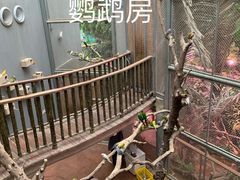 -正佳雨林生态植物园