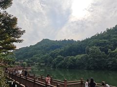 -桃花岭景区