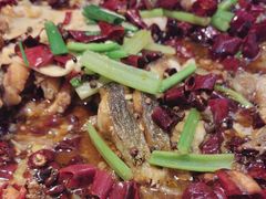 -老板恋上鱼(印象城店)