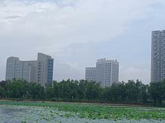 -院士公园