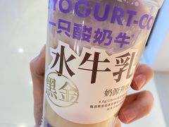 -一只酸奶牛(时代天街A馆店)