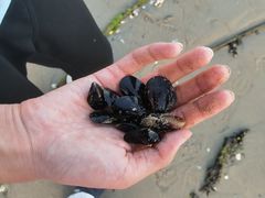 -海源公园