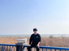 -合肥滨湖国家森林公园