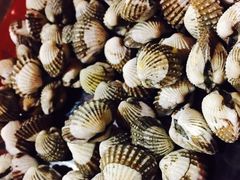 -板桥海鲜广场11排2号