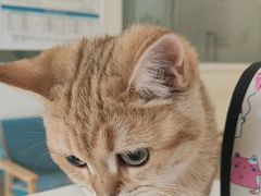 -美联众合24小时·皮肤科·外科·全科诊疗中心(华苑分院)