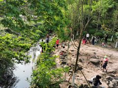 -重庆彩云湖湿地公园