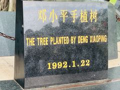 -深圳仙湖植物园