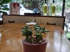 -桉树林A coffee 森林餐厅(三圣乡店)