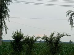 -天发长铁锅炖(王秀村店)