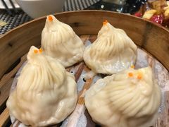 -新兴·金羊座·粤菜点心(乐峰店)