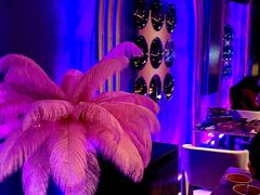 -Darling Queen·Mini·Live·House