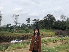 -白鹭湾湿地公园