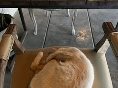 -喜洲吧·江畔老船厂·庭院餐厅(喜临院店)
