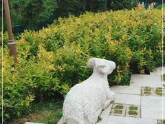 -元大都城垣遗址公园