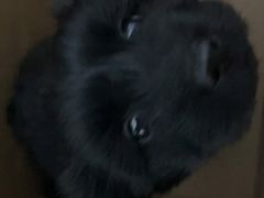 -贝康宠物医院·犬猫全科·小动物特色诊疗中心(东环路店)