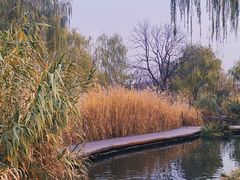-春风习习