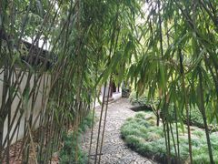 -秋霞圃