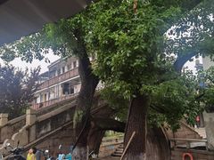 -观桥阁(锦溪店)