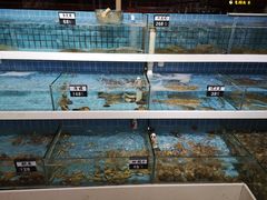 水产区-双海酒店·海鲜家常菜(南戴河店)